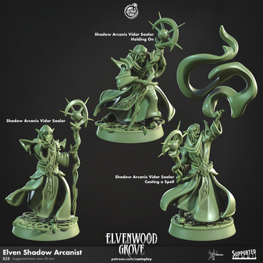 Arcanists Vidar Saloor Bundle